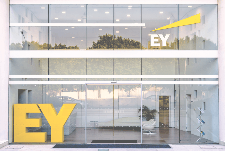 EY Executive Says Bitcoin Has No Practical Use In India Bits N Coins