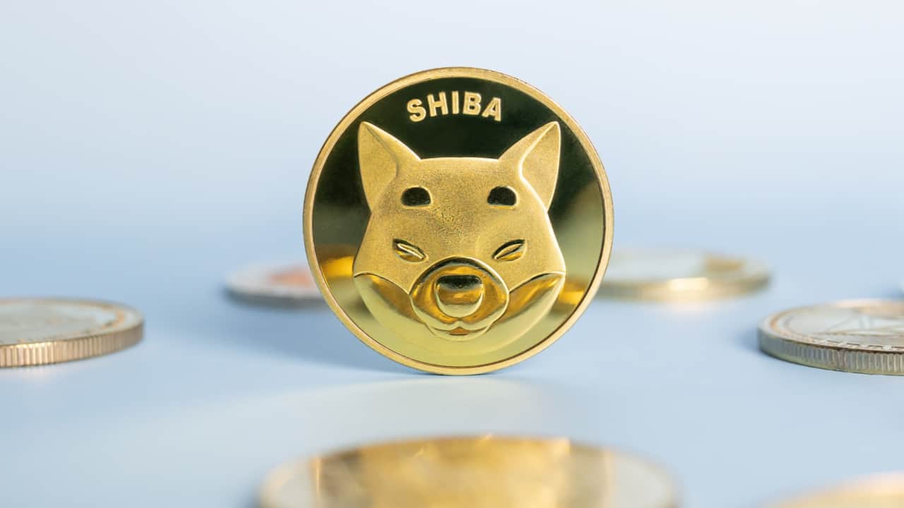 The Number of SHIB Holders Shudders in 3 Days, Shiba Inu Slid 17 in
